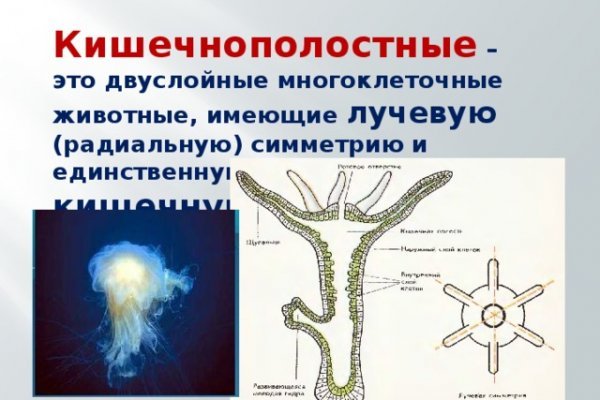 Что с кракеном сегодня сайт