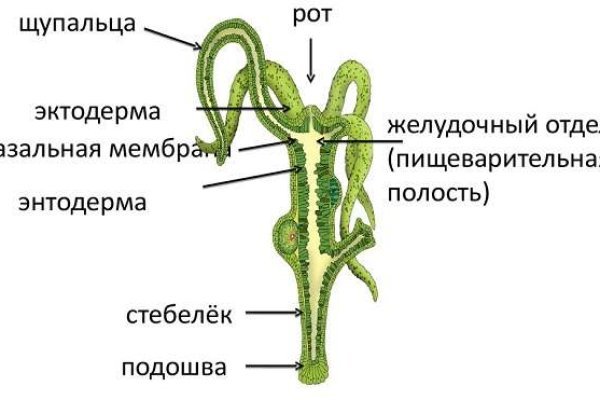 Кракен это сайт