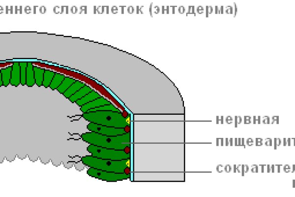 Kraken рабочий